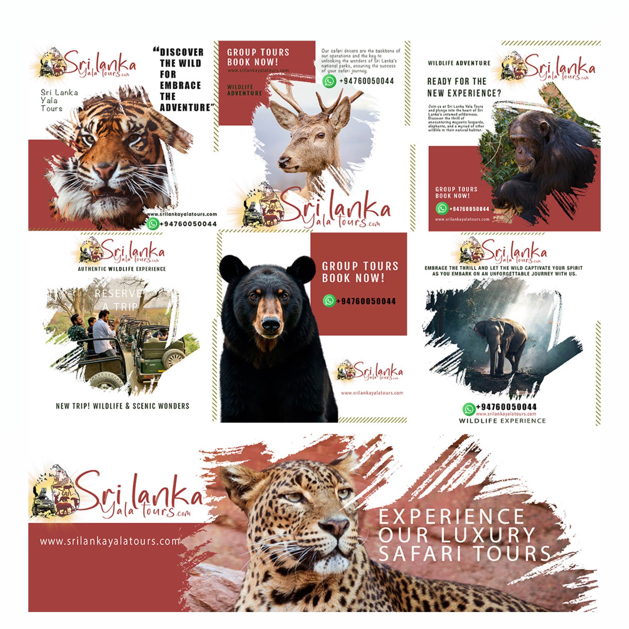 Custom Logo Design